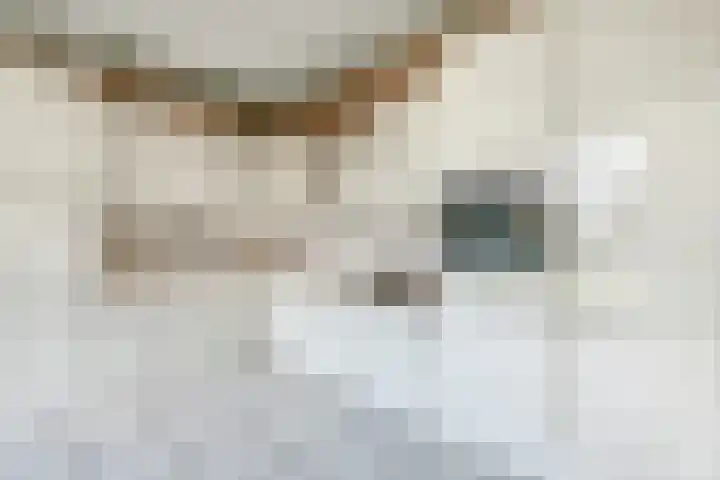 Kleine Borg 11 Stadskanaal thumbnail 36