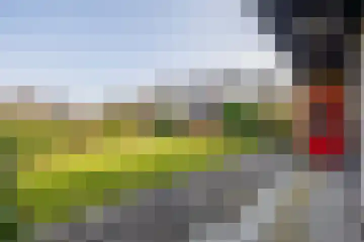 Kleine Borg 11 Stadskanaal thumbnail 4
