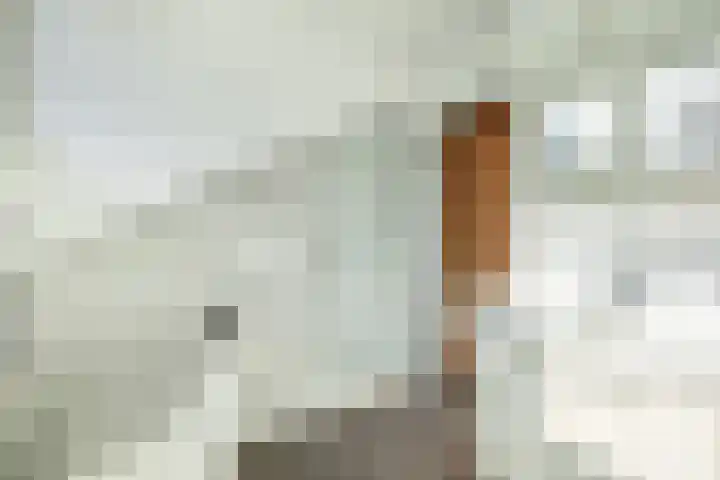 Kleine Borg 11 Stadskanaal thumbnail 58