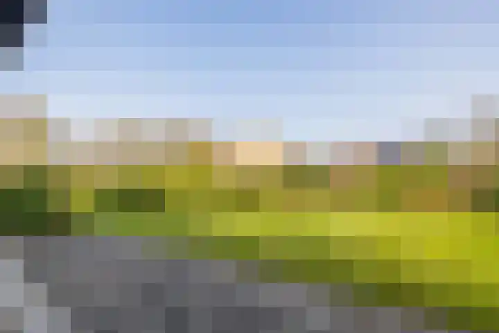 Kleine Borg 11 Stadskanaal thumbnail 66