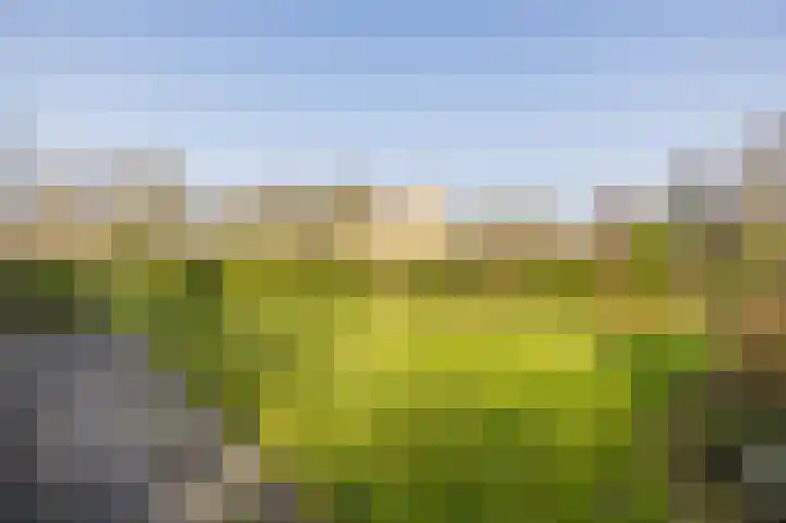 Kleine Borg 11 Stadskanaal thumbnail 67