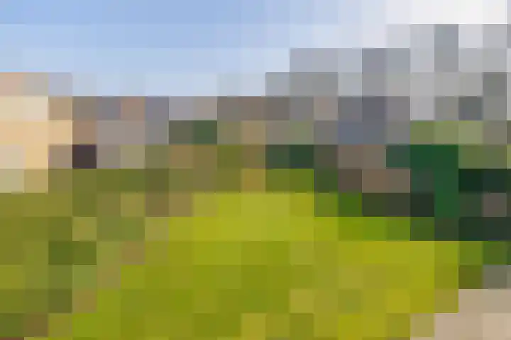 Kleine Borg 11 Stadskanaal thumbnail 68