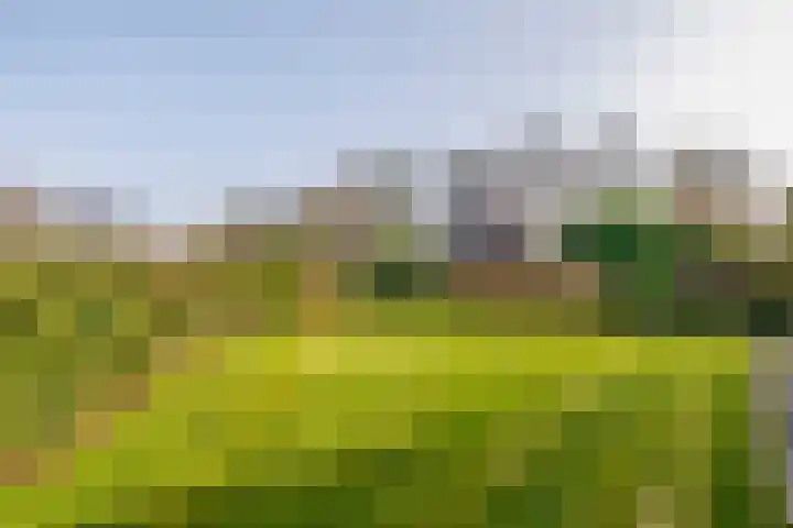 Kleine Borg 11 Stadskanaal thumbnail 69