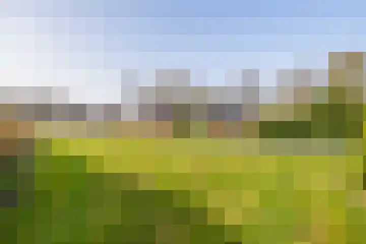 Kleine Borg 11 Stadskanaal thumbnail 70
