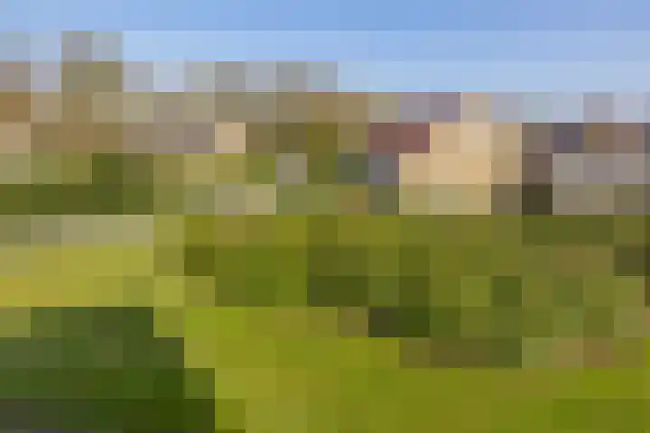 Kleine Borg 11 Stadskanaal thumbnail 71