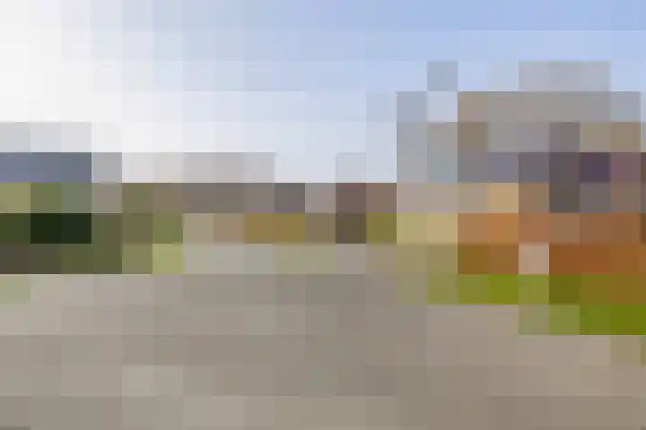 Kleine Borg 11 Stadskanaal thumbnail 74