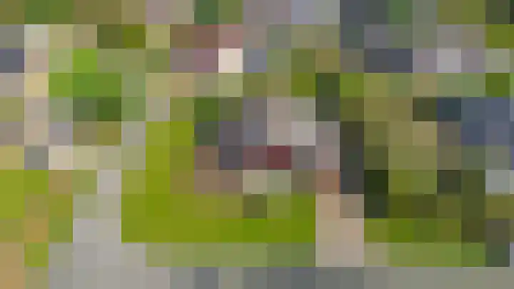 Kleine Borg 11 Stadskanaal thumbnail 76