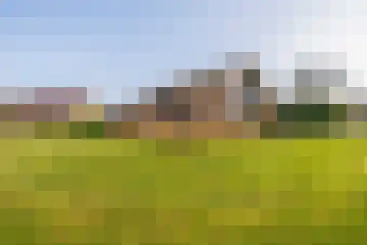 Kleine Borg 11 Stadskanaal thumbnail 9