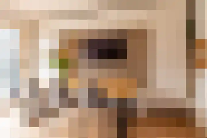 Kleine Boterbloem 11 Velserbroek thumbnail 14