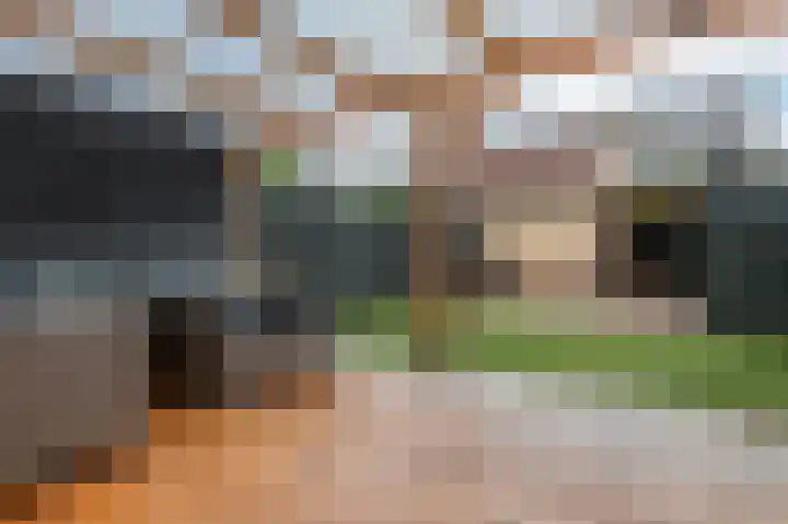 Kleine Boterbloem 11 Velserbroek thumbnail 15