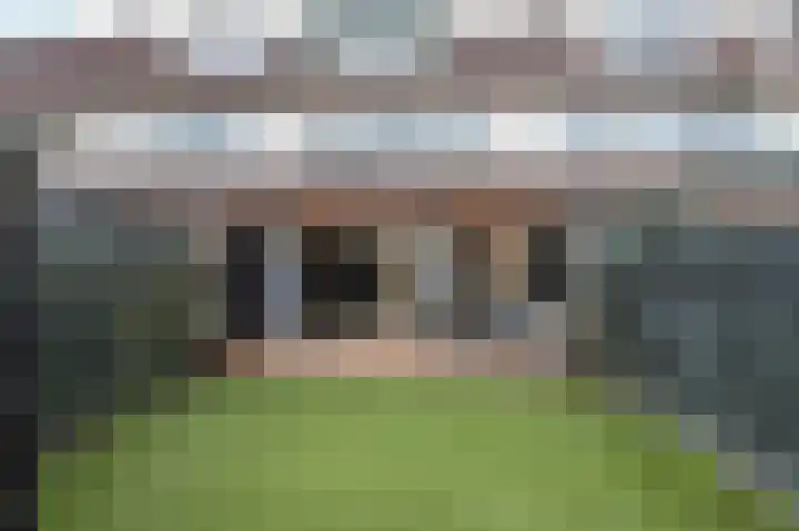 Kleine Boterbloem 11 Velserbroek thumbnail 18