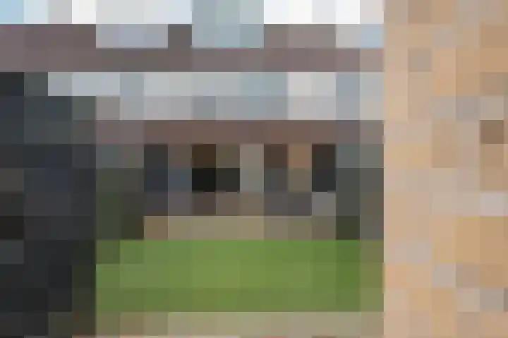 Kleine Boterbloem 11 Velserbroek thumbnail 19