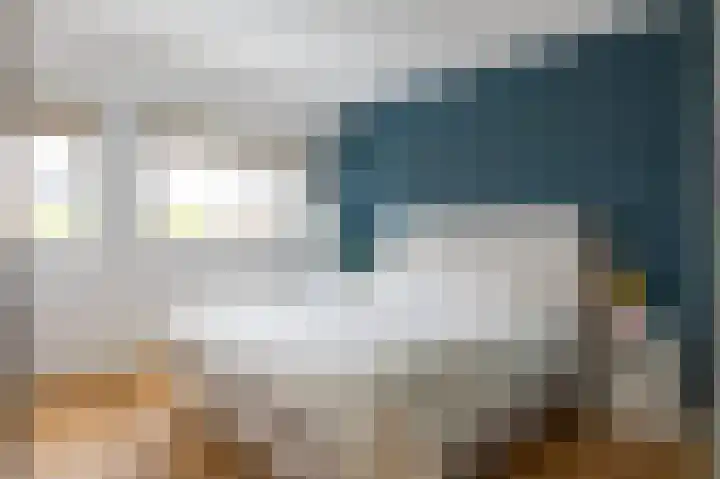 Kleine Boterbloem 11 Velserbroek thumbnail 21