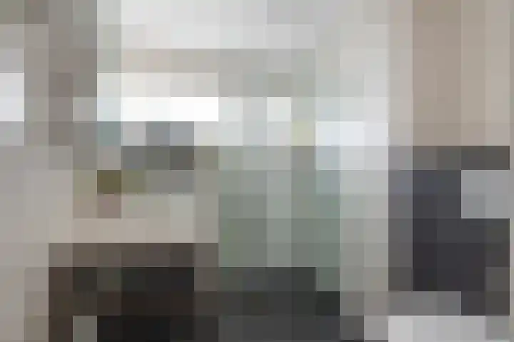 Kleine Boterbloem 11 Velserbroek thumbnail 27