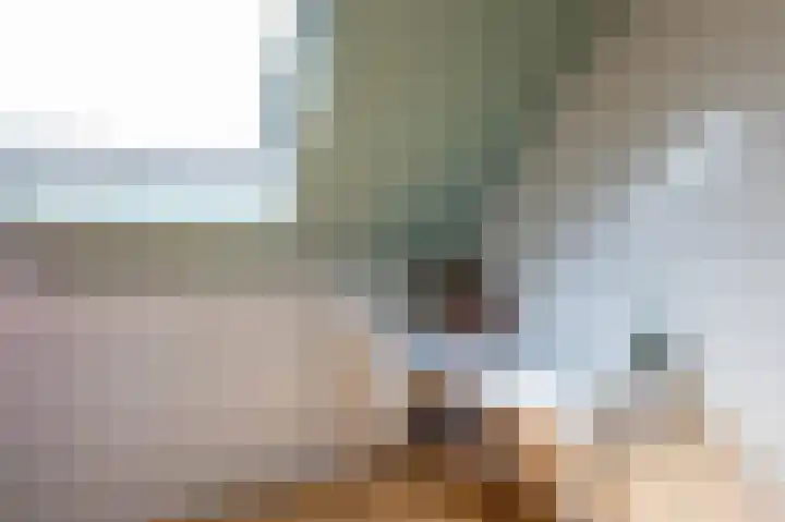 Kleine Boterbloem 11 Velserbroek thumbnail 31
