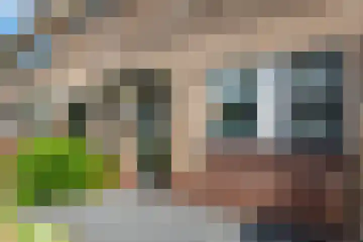 Kleine Boterbloem 11 Velserbroek thumbnail 32