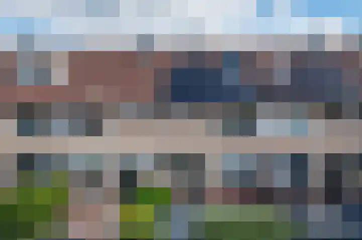 Kleine Boterbloem 11 Velserbroek thumbnail 33