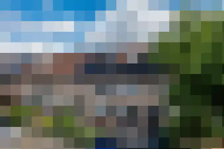 Kleine Boterbloem 11 Velserbroek thumbnail 34