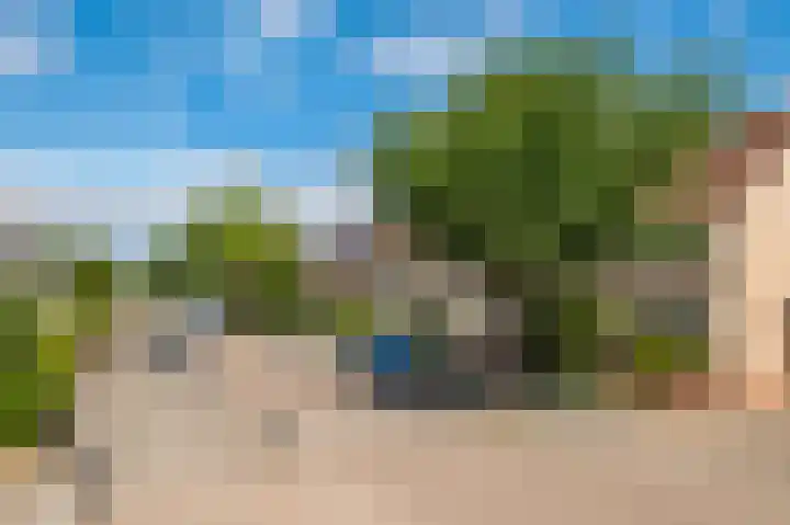 Kleine Boterbloem 11 Velserbroek thumbnail 35