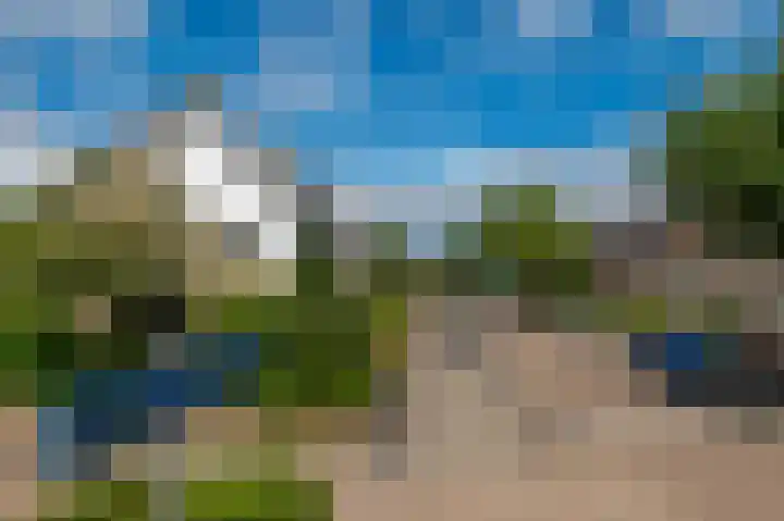 Kleine Boterbloem 11 Velserbroek thumbnail 36