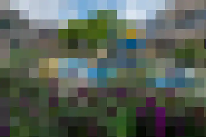 Kleine Boterbloem 11 Velserbroek thumbnail 37