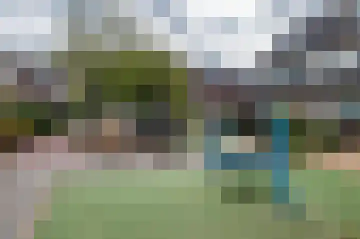 Kleine Boterbloem 11 Velserbroek thumbnail 38