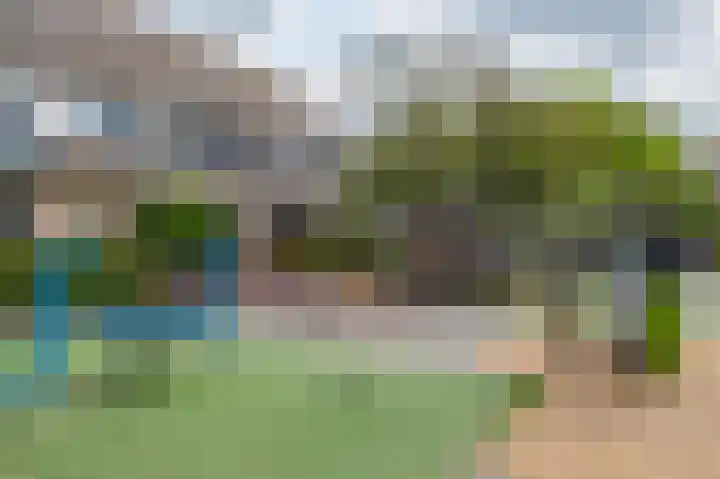 Kleine Boterbloem 11 Velserbroek thumbnail 39