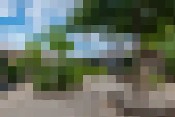 Kleine Boterbloem 11 Velserbroek thumbnail 40