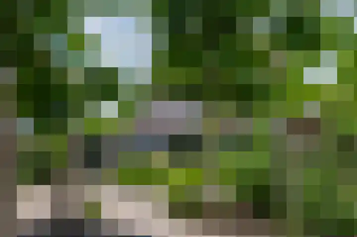 Kleine Boterbloem 11 Velserbroek thumbnail 41