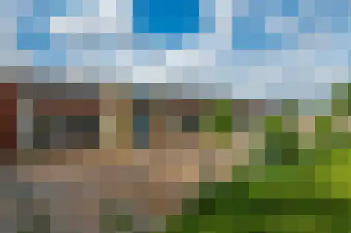 Kleine Boterbloem 11 Velserbroek thumbnail 42