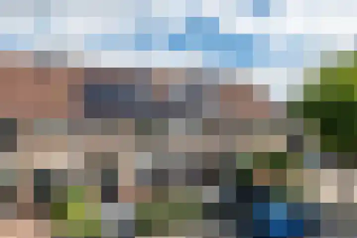 Kleine Boterbloem 11 Velserbroek thumbnail 47