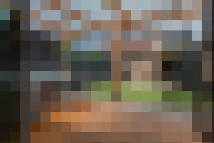 Kleine Boterbloem 11 Velserbroek thumbnail 5