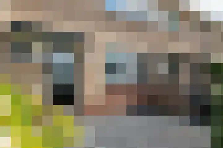 Kleine Boterbloem 11 Velserbroek thumbnail 6