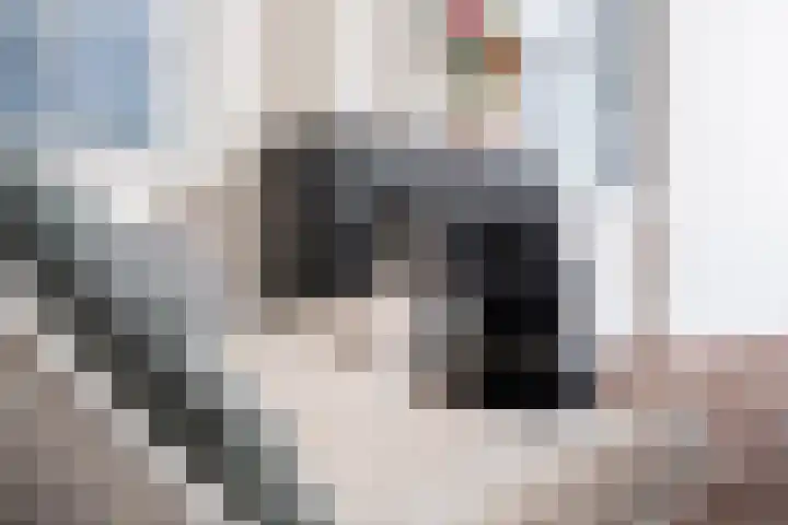 Kleine Bredeplaats 5 Harlingen thumbnail 11