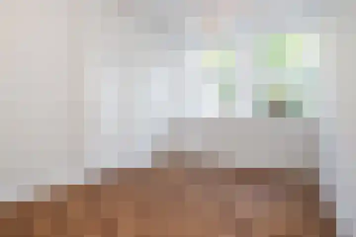 Kleine Bredeplaats 5 Harlingen thumbnail 16
