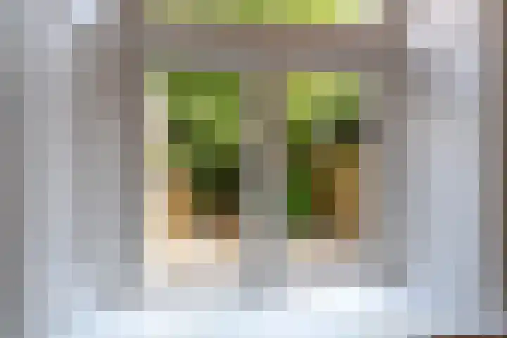 Kleine Bredeplaats 5 Harlingen thumbnail 17