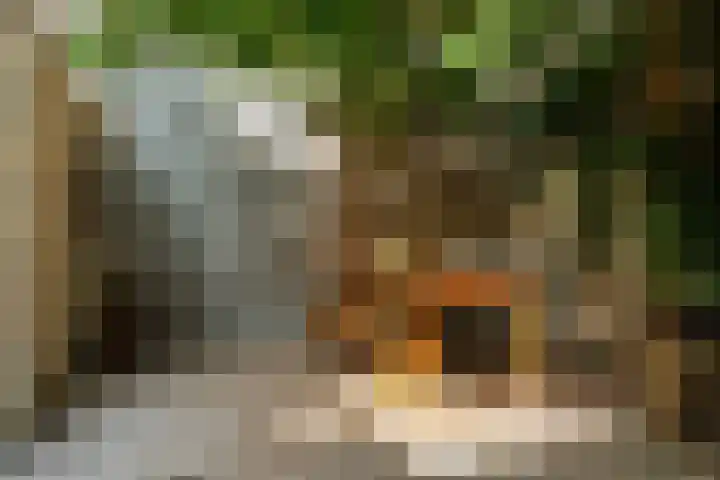 Kleine Bredeplaats 5 Harlingen thumbnail 19