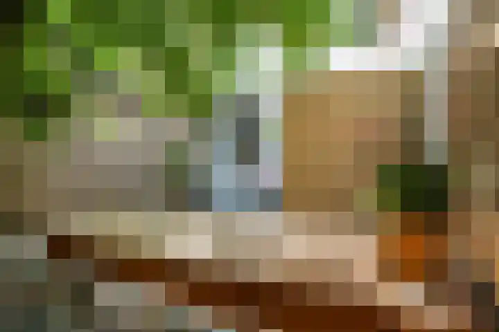 Kleine Bredeplaats 5 Harlingen thumbnail 21
