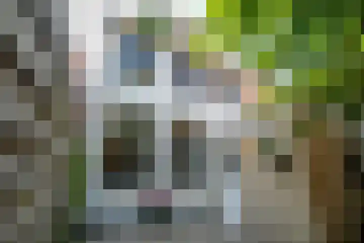 Kleine Bredeplaats 5 Harlingen thumbnail 23