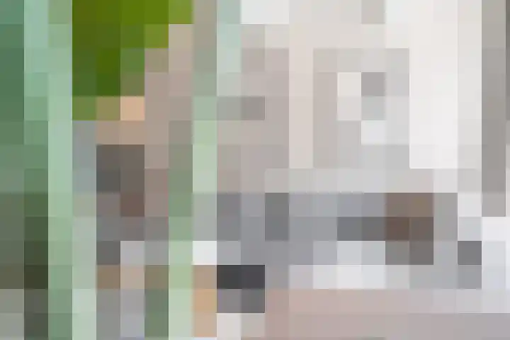 Kleine Bredeplaats 5 Harlingen thumbnail 35