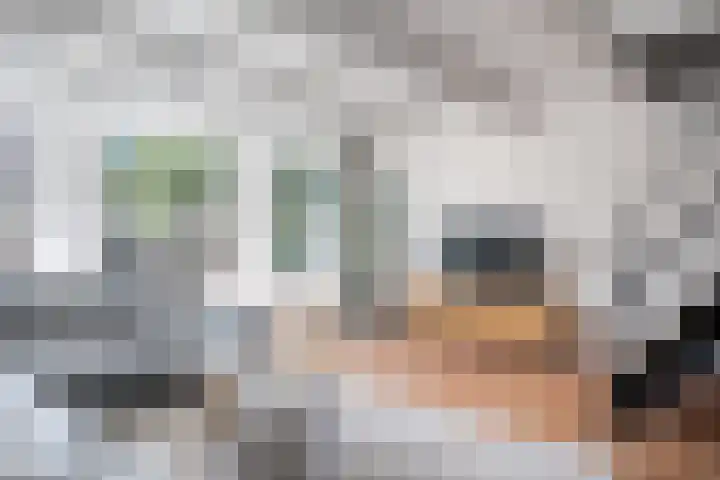 Kleine Bredeplaats 5 Harlingen thumbnail 37