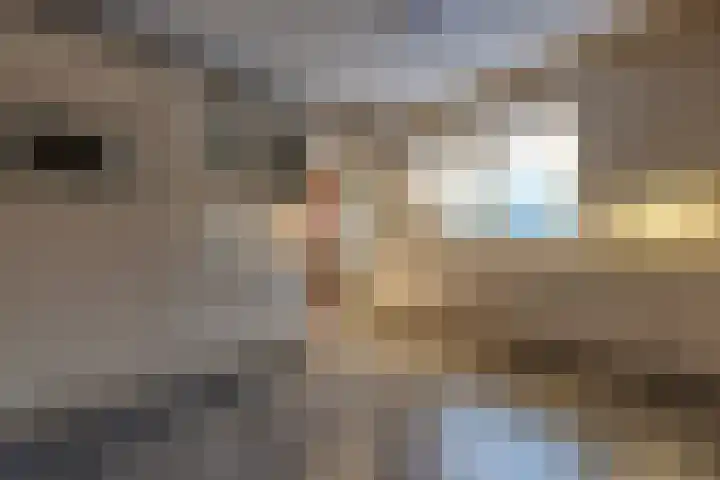 Kleine Bree 18 Sellingen thumbnail 11