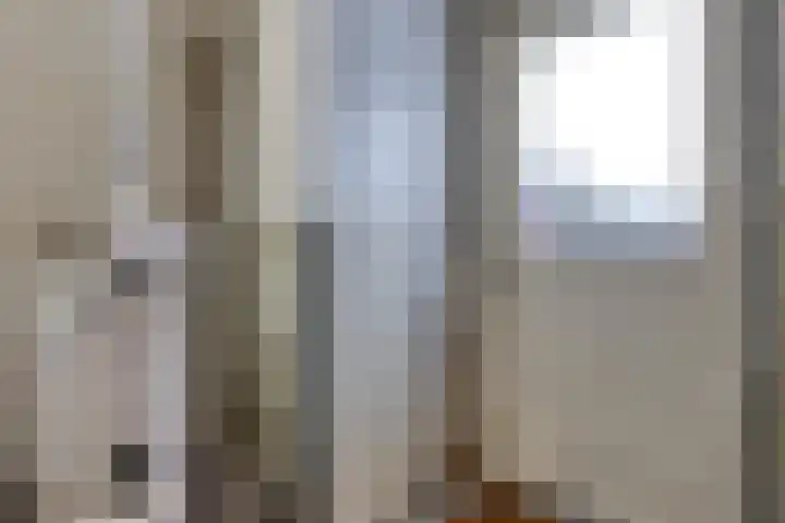 Kleine Bree 18 Sellingen thumbnail 13