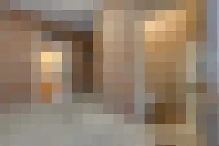Kleine Bree 18 Sellingen thumbnail 19