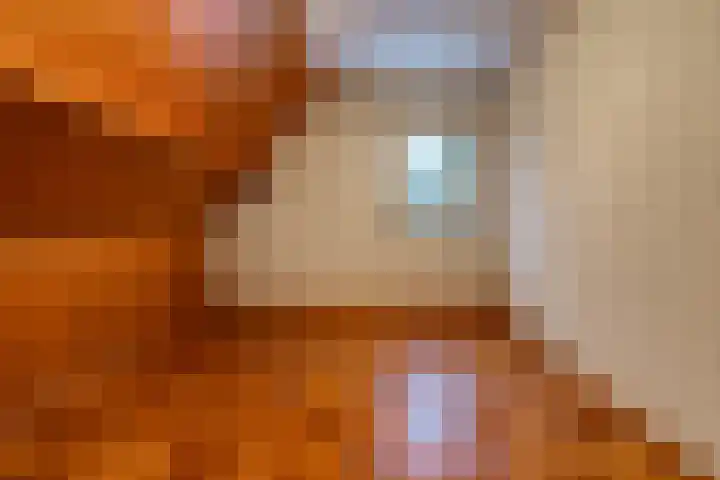 Kleine Bree 18 Sellingen thumbnail 22