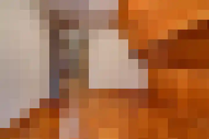 Kleine Bree 18 Sellingen thumbnail 23