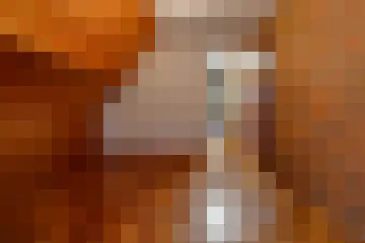 Kleine Bree 18 Sellingen thumbnail 25