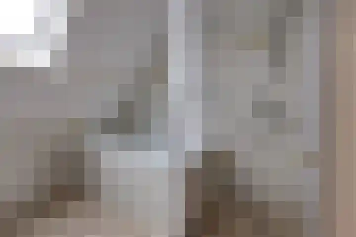 Kleine Bree 18 Sellingen thumbnail 31