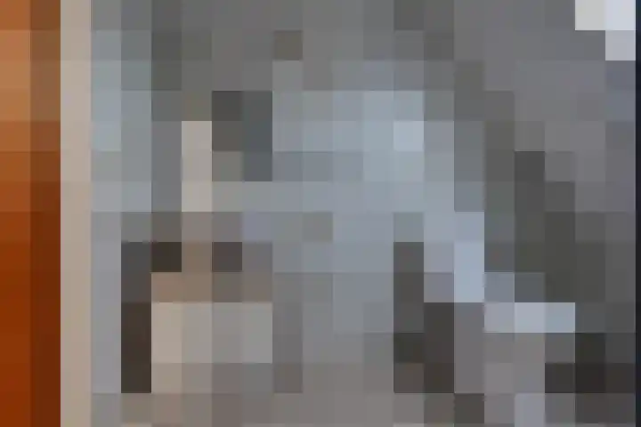 Kleine Bree 18 Sellingen thumbnail 32