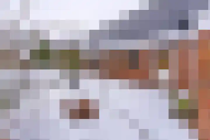Kleine Bree 18 Sellingen thumbnail 36